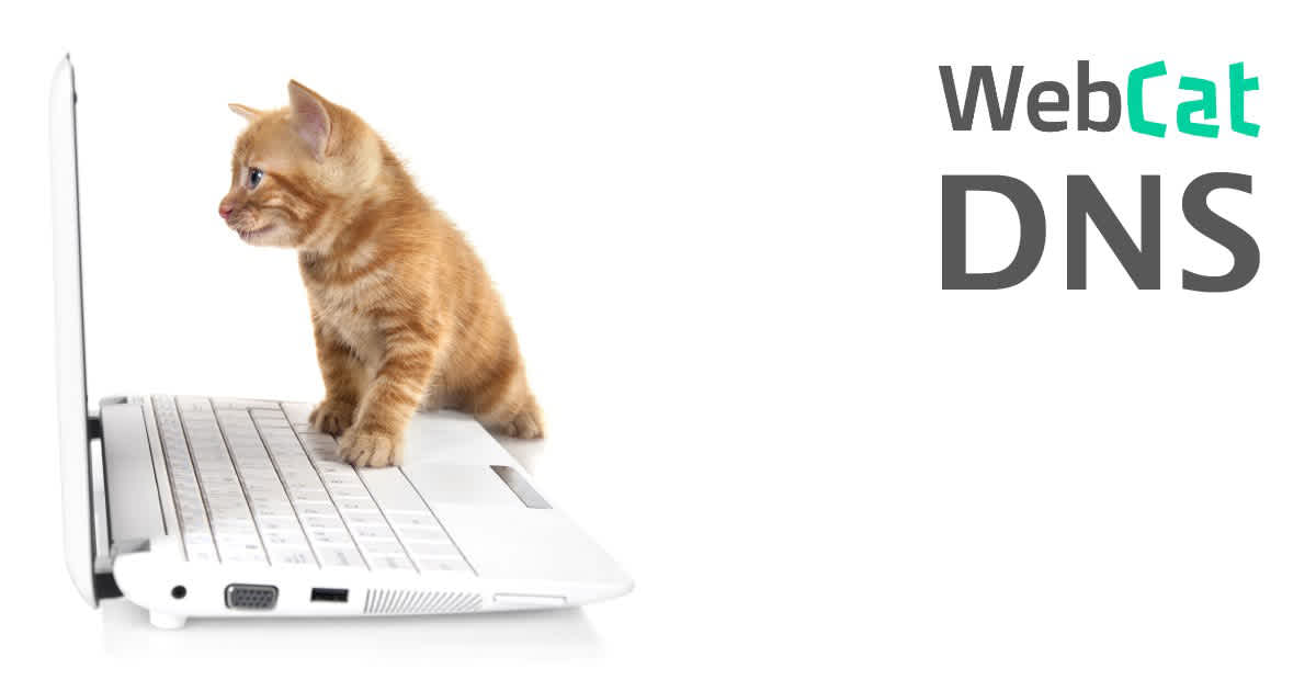 WebCat adds DNS service support