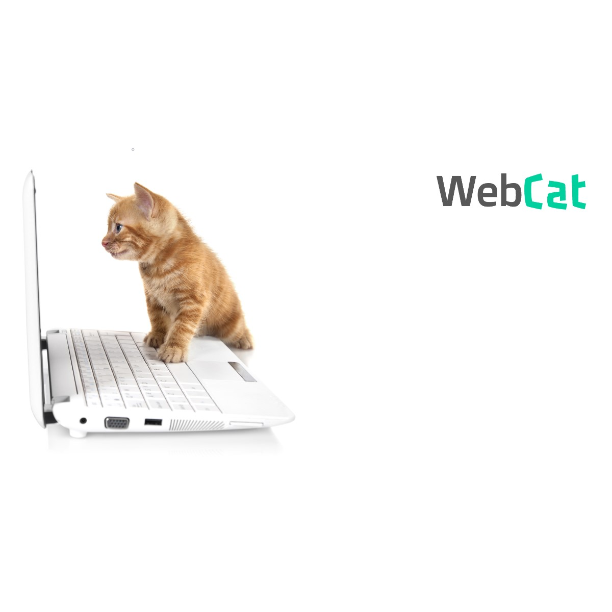 WebCat’s Transition to Step Functions